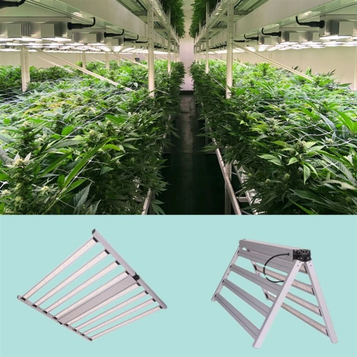 640W Grow Lamps Foldable