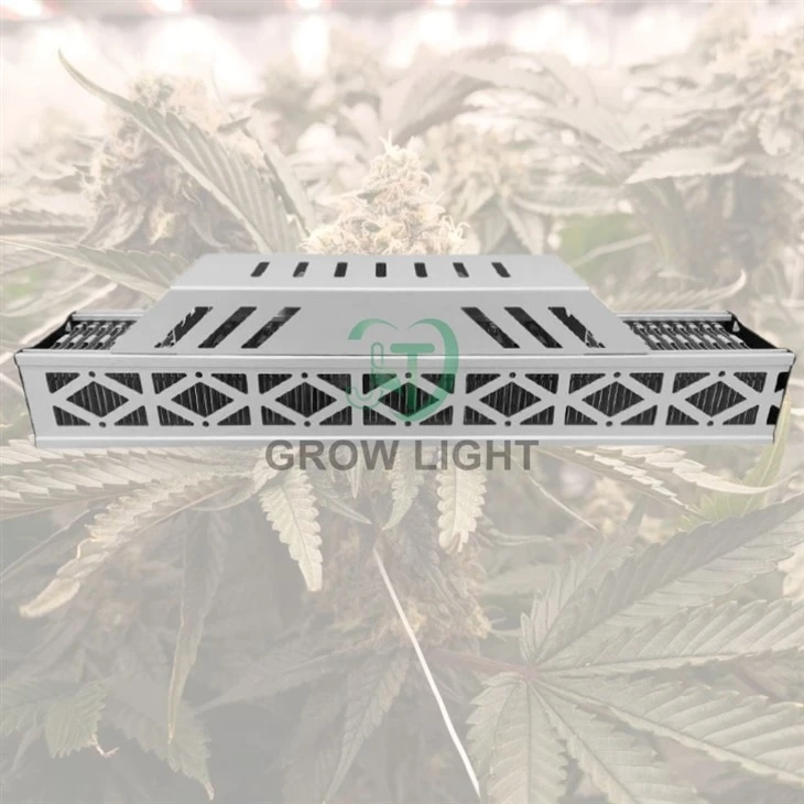 greenhouse grow light