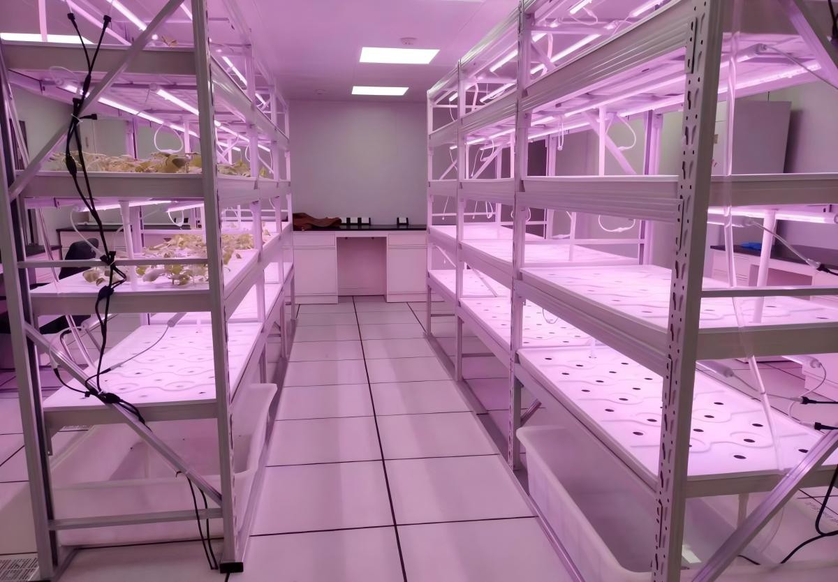 Vertical Grow Rack.jpg Vertical Grow Rack.jpg