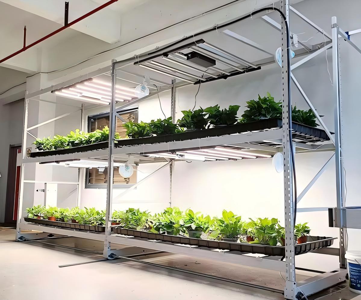 Vertical grow racks.jpg Vertical grow racks.jpg