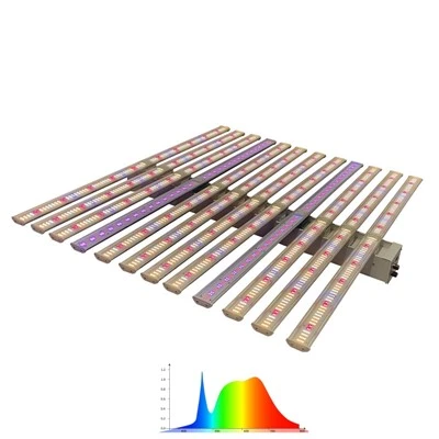 LED LUZES LUZES COM UV e IR